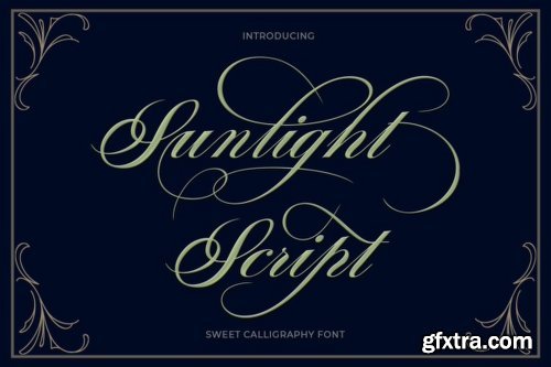 Sunlight Script Font Family - 3 Fonts