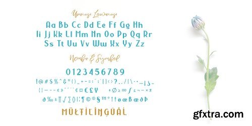 NERMOLA Scripcy Font Family - 3 Fonts