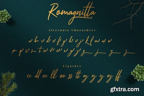 Romagnitta - Signature Font