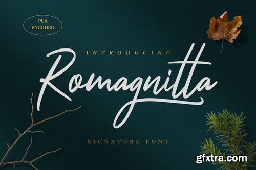 Romagnitta - Signature Font