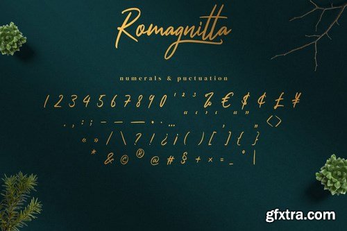 Romagnitta - Signature Font