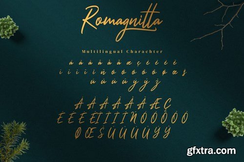 Romagnitta - Signature Font