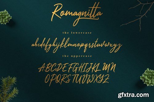 Romagnitta - Signature Font