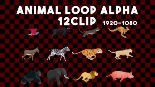 Videohive - Animal Animation Alpha 12 Clip - 35270344 - 35270344