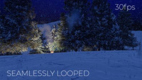 Videohive - Camp Fire In The Snow Fall In Pine Forest At Night - 35377056 - 35377056