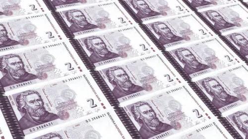 Videohive - Bulgaria Money / 2 Bulgarian Lev 4K - 35450665 - 35450665