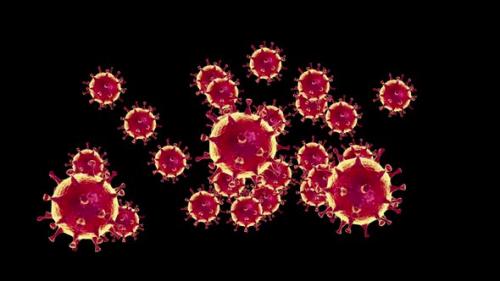 Videohive - Animated 3d Coronavirus Cells on a Black Background - 35451179 - 35451179