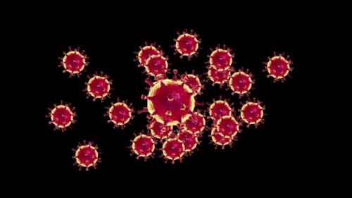 Videohive - Coronavirus 3D Microscopic Infection Animated Motion Graphics - 35451182 - 35451182