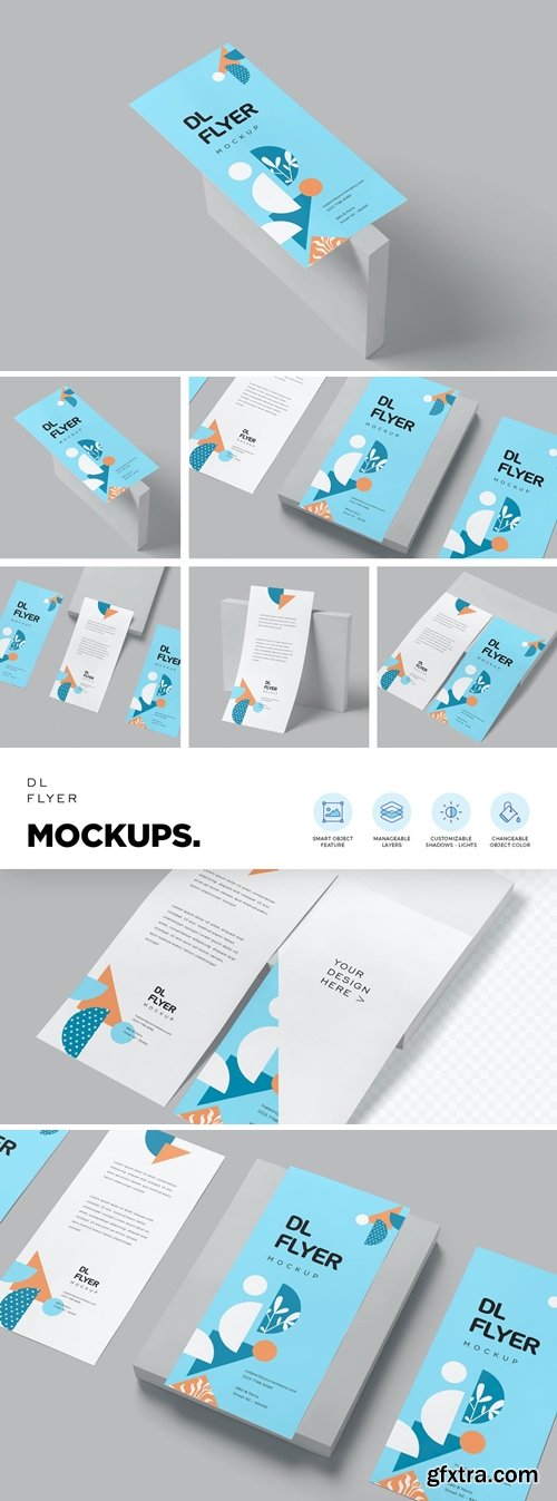 DL Size Flyer Mockups