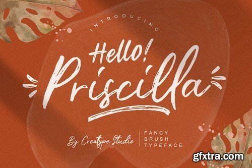 Priscilla Fancy Brush Typeface