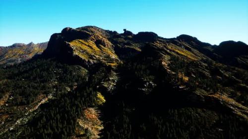 Videohive - Panorama of Cone Forest at Mountains - 35536661 - 35536661