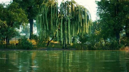 Videohive - Trees in the Morning Sun Near a Pond in City Park - 35537373 - 35537373