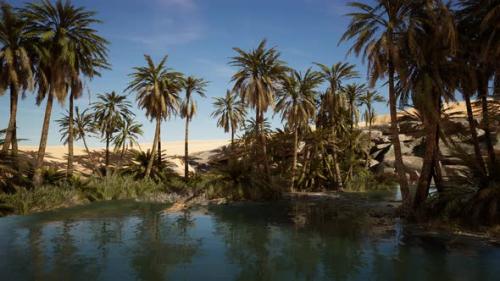 Videohive - Palm Trees Flourish Around a Pool of Water at a Park in Palm Desert - 35537393 - 35537393