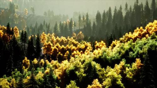 Videohive - Bright Sunset in the Mountains with Forest - 35537433 - 35537433