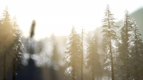 Videohive - Dramatic Winter Sunrise in the Mountains - 35537491 - 35537491