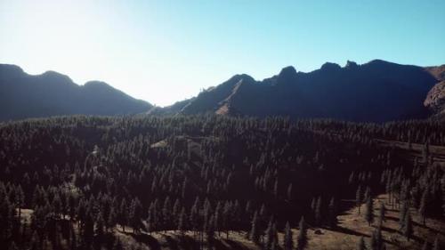 Videohive - Wide Angle Shot of Mountains Landscape with Spring Forest - 35537492 - 35537492