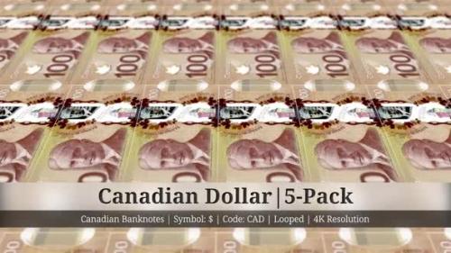 Videohive - Canadian Dollar | Canada Currency - 5 Pack | 4K Resolution | Looped - 35541750 - 35541750