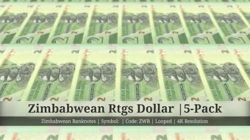 Videohive - Zimbabwean Rtgs Dollar | Zimbabwe Currency - 5 Pack | 4K Resolution | Looped - 35541752 - 35541752