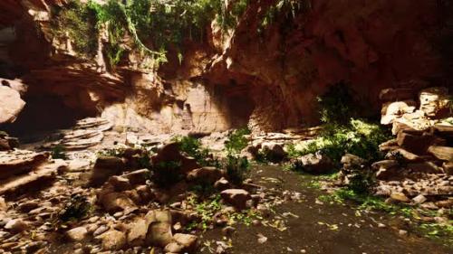 Videohive - View From Inside a Dark Cave with Green Plants and Light on the Exit - 35542929 - 35542929