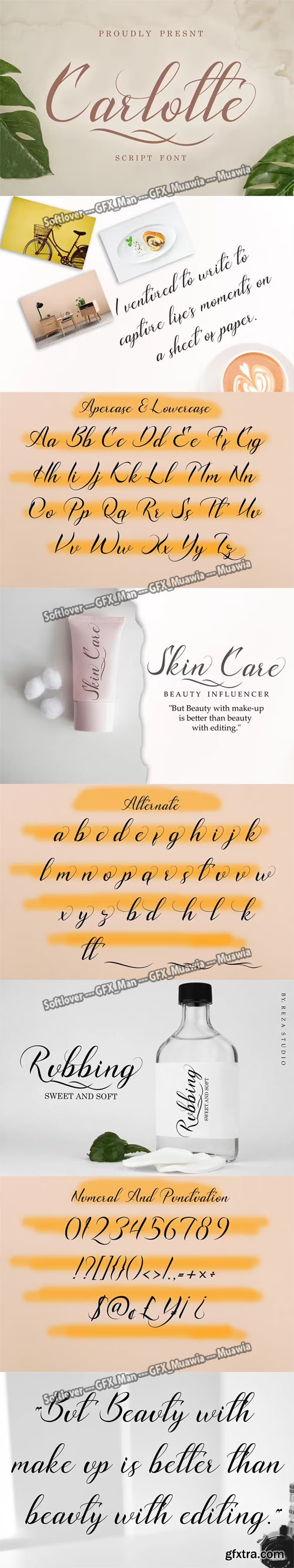 Carlotte Script - Romantic Handwritten Font