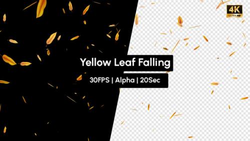 Videohive - Realistic Yellow Leaf Falling with Alpha - 35511579 - 35511579