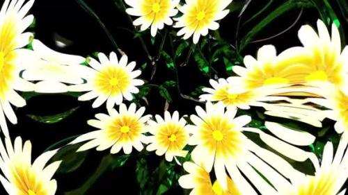 Videohive - White Flower Botanical 3D Rendering - 35527379 - 35527379