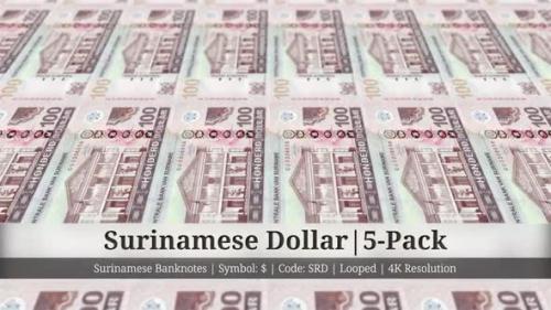 Videohive - Surinamese Dollar | Suriname Currency - 5 Pack | 4K Resolution | Looped - 35541717 - 35541717