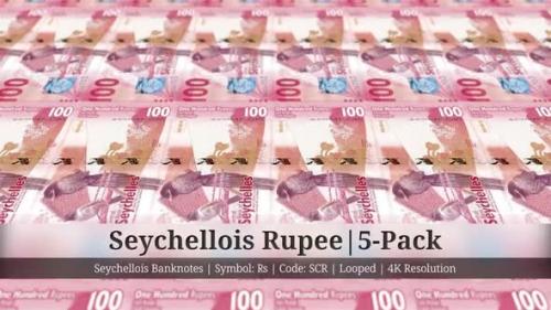 Videohive - Seychellois Rupee | Seychelles Currency - 5 Pack | 4K Resolution | Looped - 35541723 - 35541723