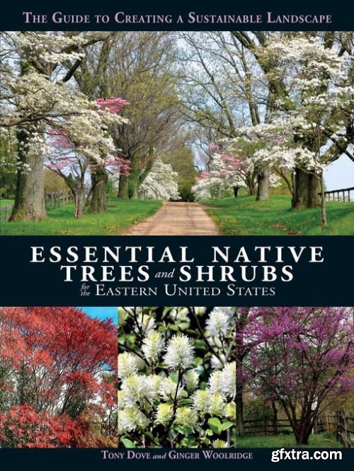 Essential Native Trees and Shrubs for the Eastern United States: The Guide to Creating a Sustainable Landscape