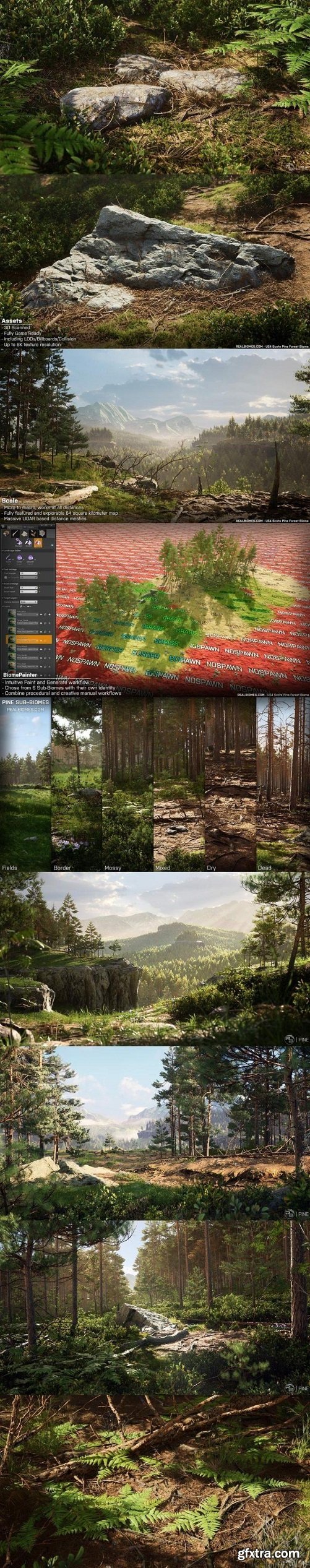 Unreal Engine – Scots Pine Forest Biome