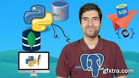 Easy Python Programming Beginners Pro Python SQL MySQL Mongo