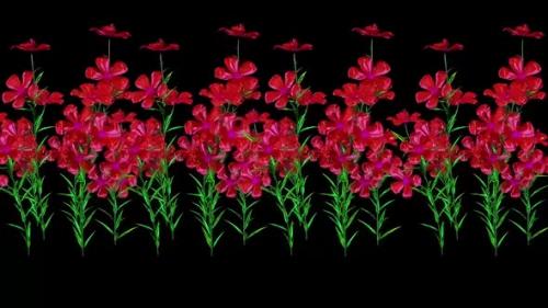 Videohive - Petunia Botanical Flowers 3D Rendering - 35630797 - 35630797