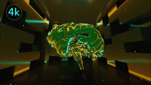 Videohive - Plexus Brain 02 - 35632060 - 35632060