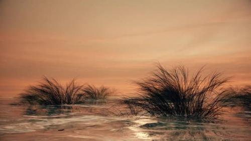 Videohive - realistic sunset sea - 35632076 - 35632076