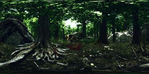 Videohive - VR360 Primeval Forest with Mossed Ground - 35633493 - 35633493