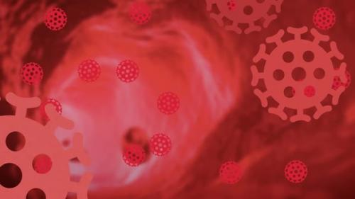 Videohive - Animation of macro red coronavirus cells spinning and spreading on red background - 35624271 - 35624271