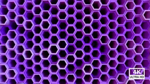 Videohive - Honeycomb Hexagon Background Purple - 35627480 - 35627480
