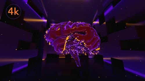 Videohive - Plexus Brain 01 - 35630729 - 35630729