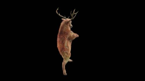 Videohive - 27 Deer Dancing HD - 35639564 - 35639564