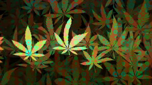 Videohive - Trippy Psychedelic Cannabis Leaf Motion Background - 35614529 - 35614529