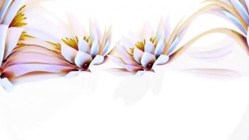 Videohive - Waterlily Botanical Flower 3D Rendering - 35615470 - 35615470