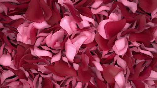 Videohive - Rose Petals Transition 06 HD - 35620420 - 35620420