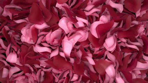 Videohive - Rose Petals Transition 04 HD - 35620426 - 35620426