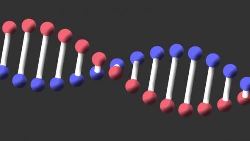 Videohive - Animation of a digital 3d red, blue and white double helix DNA - 35623459 - 35623459