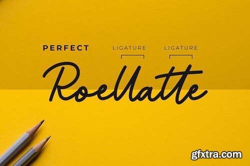 Bridget Monoline Script Font