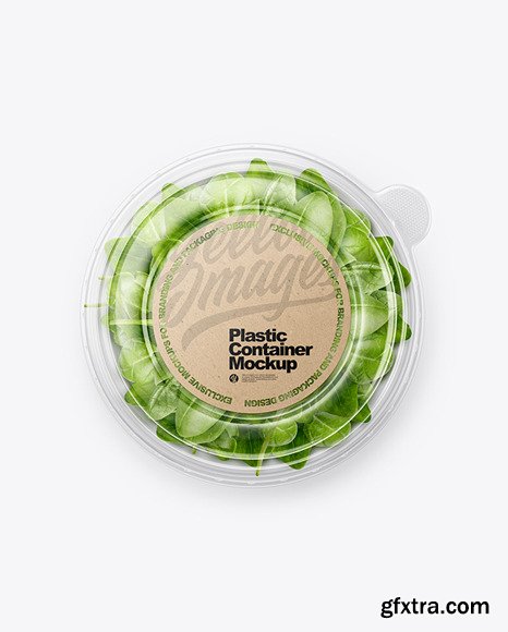 Paper Container With Salad & Transparent cap mockup 86635