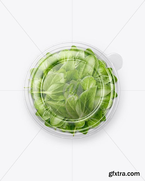 Paper Container With Salad & Transparent cap mockup 86635