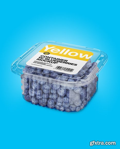 Container w/ Blueberry Mockup 49728