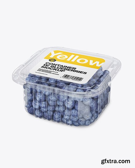 Container w/ Blueberry Mockup 49728