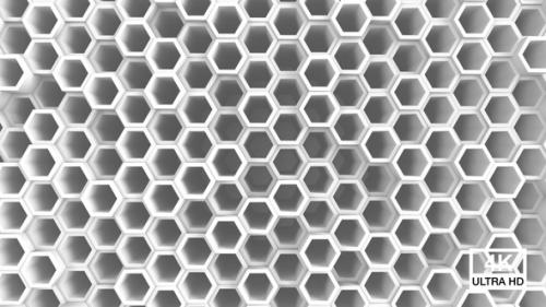 Videohive - Honeycomb Hexagon Background White - 35607990 - 35607990
